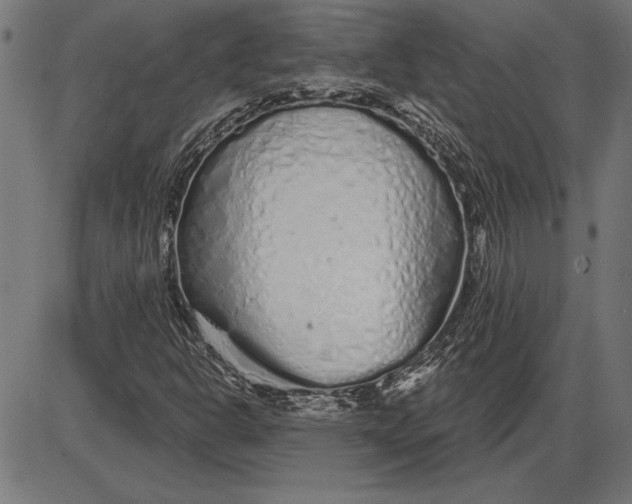 X0000086101302200704091342