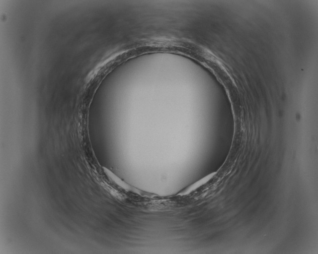 X0000086101304200704091342