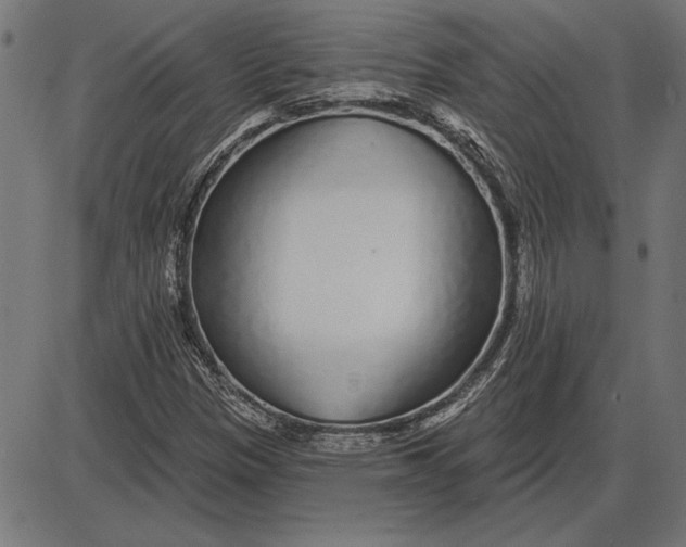 X0000086101305200704091342