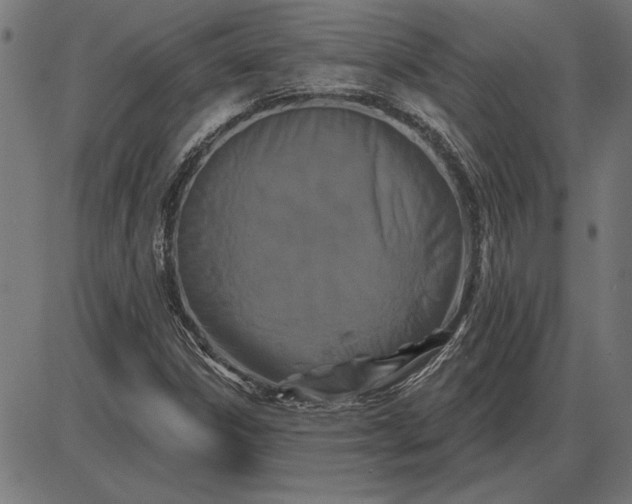 X0000086101306200704091342