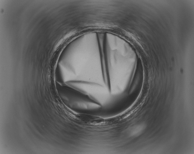 X0000086101307200704091342