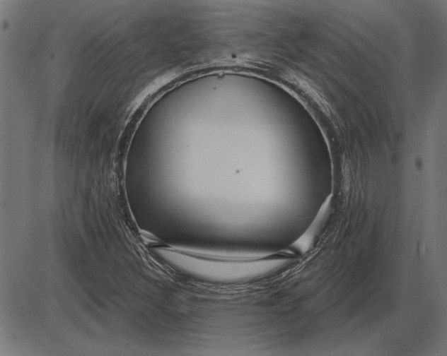 X0000086101308200704091342