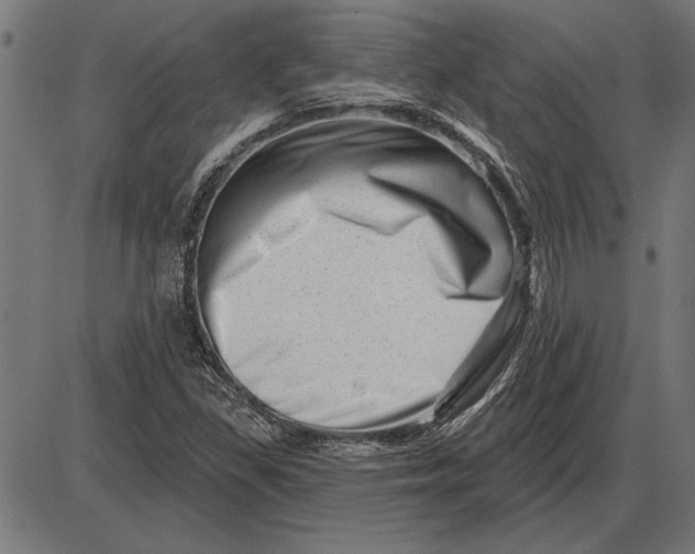 X0000086101309200704091342
