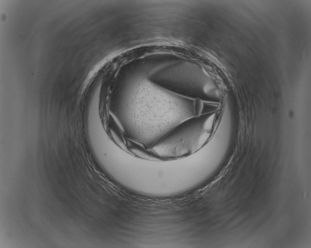 X0000086101310200704091342