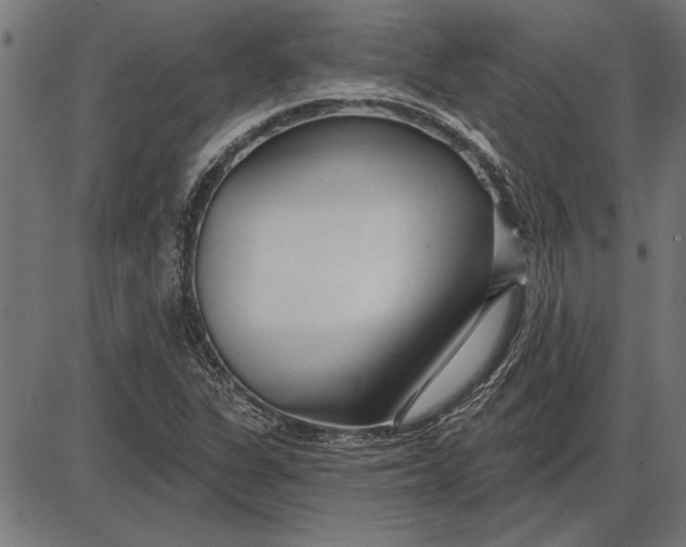 X0000086101311200704091342