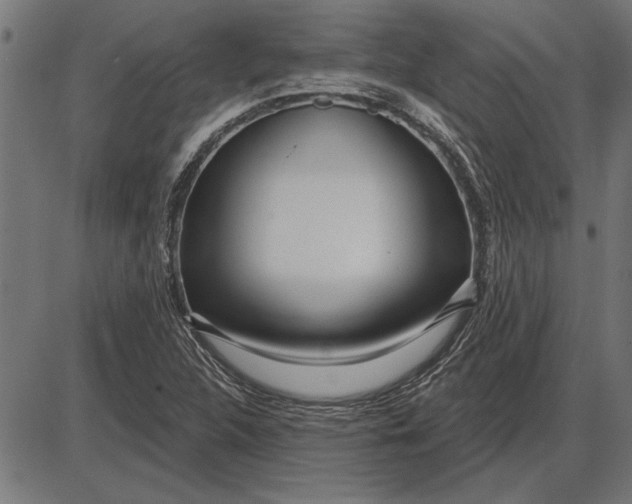X0000086101312200704091342