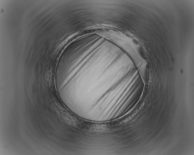 X0000086101313200704091342