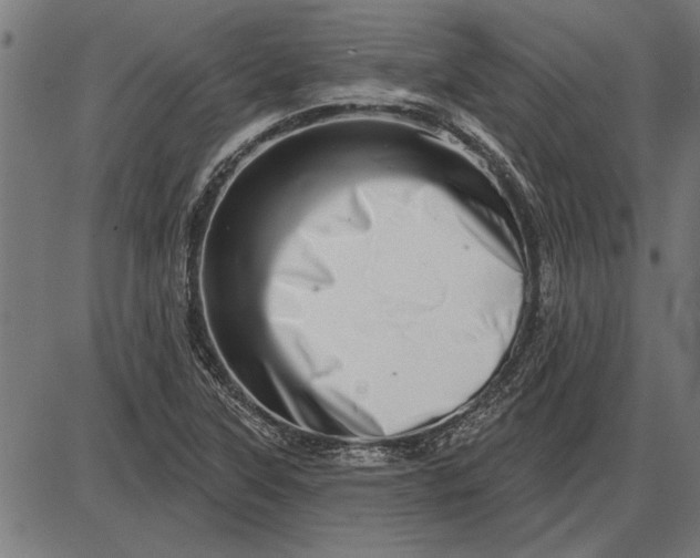 X0000086101315200704091342