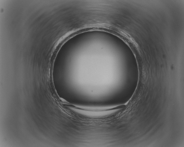 X0000086101316200704091342