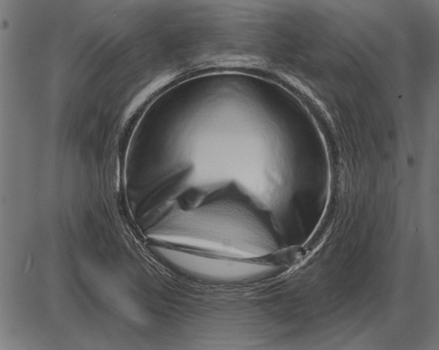 X0000086101317200704091342