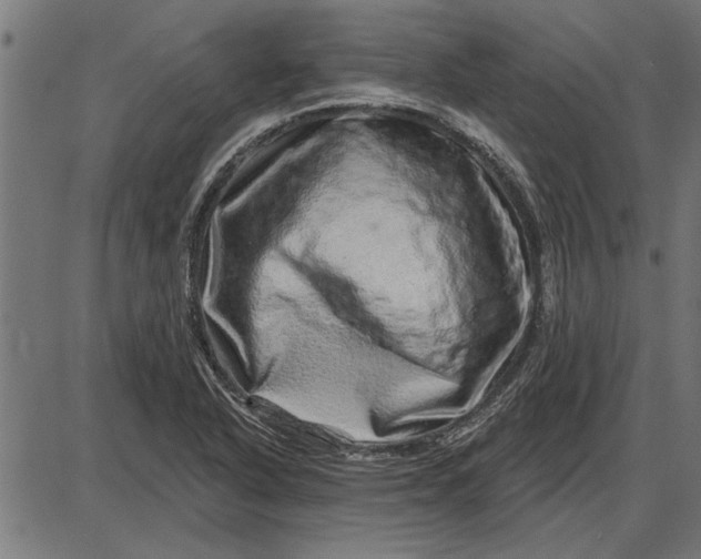 X0000086101318200704091342
