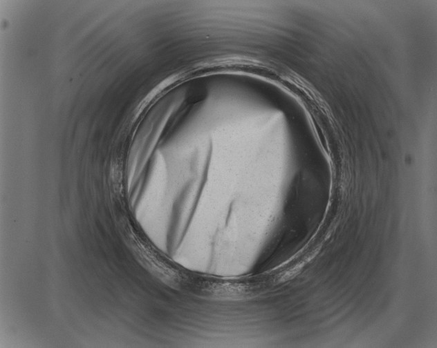 X0000086101321200704091342