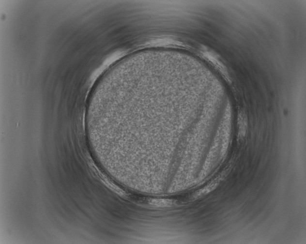 X0000086101322200704091342
