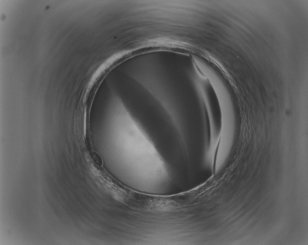 X0000086101323200704091342