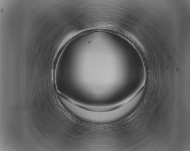 X0000086101324200704091342