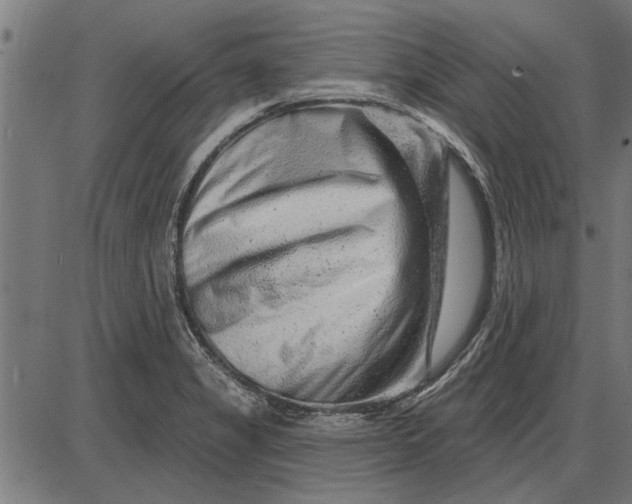 X0000086101325200704091342