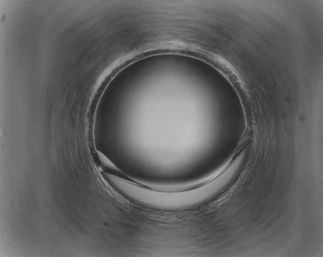 X0000086101326200704091342