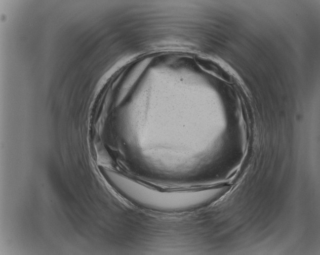 X0000086101333200704091342