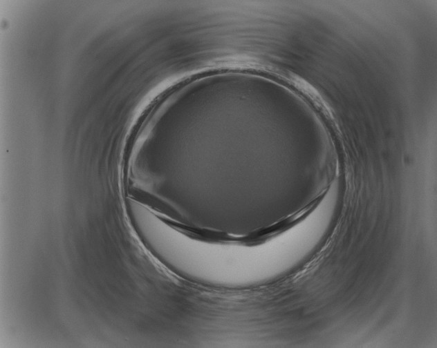 X0000086101334200704091342