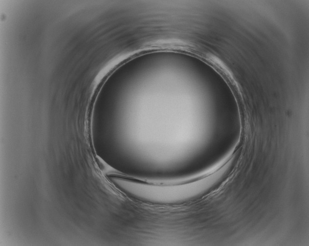 X0000086101336200704091342