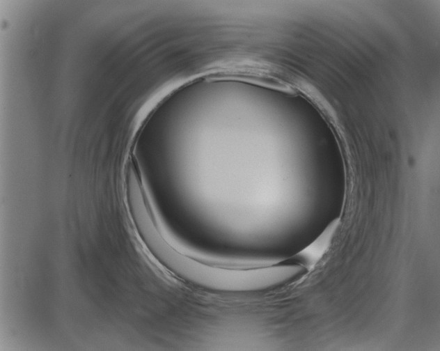 X0000086101344200704091342