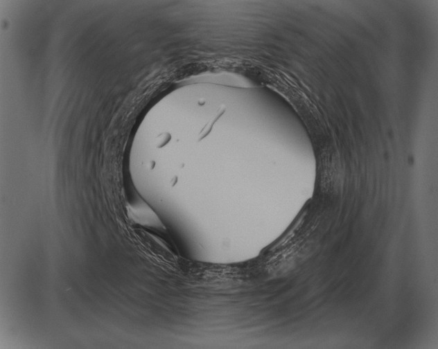 X0000086101345200704091342