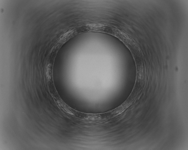 X0000086101346200704091342