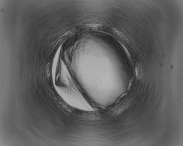 X0000086101347200704091342