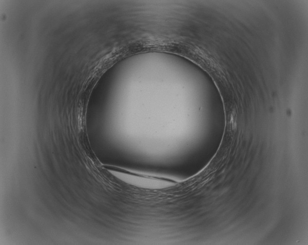 X0000086101348200704091342