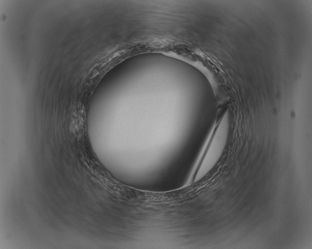 X0000086101349200704091342