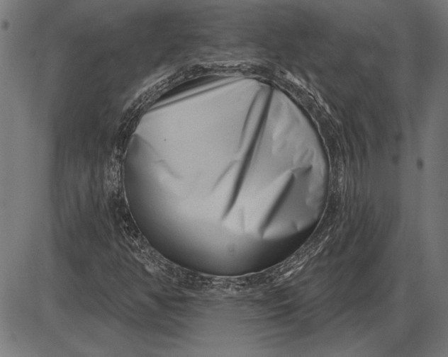 X0000086101350200704091342