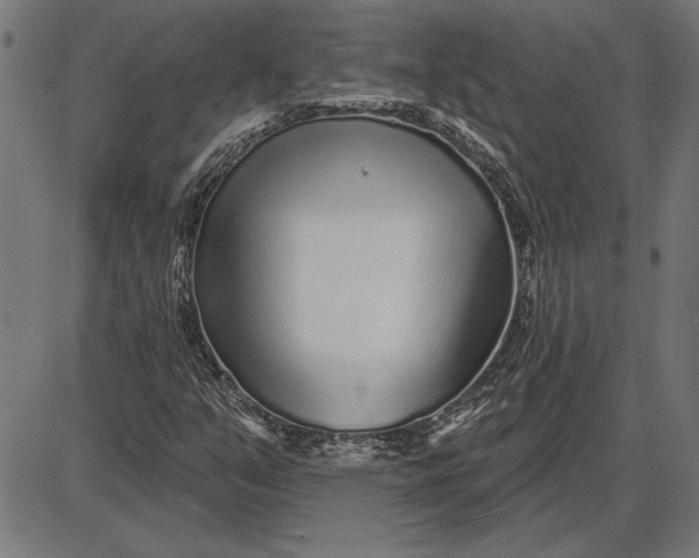 X0000086101351200704091342