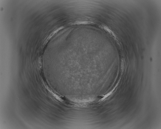 X0000086101353200704091342