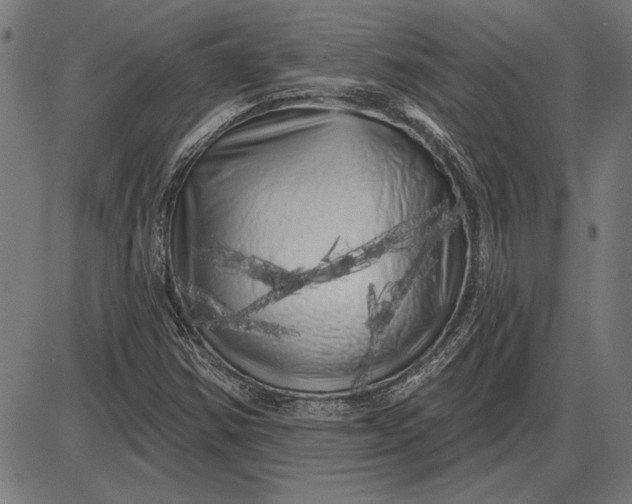 X0000086101354200704091342