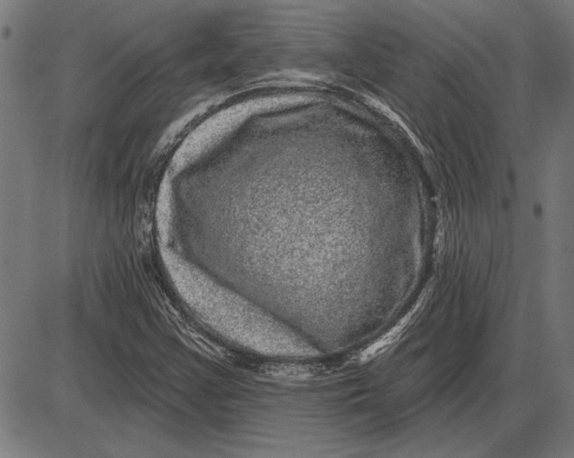 X0000086101355200704091342
