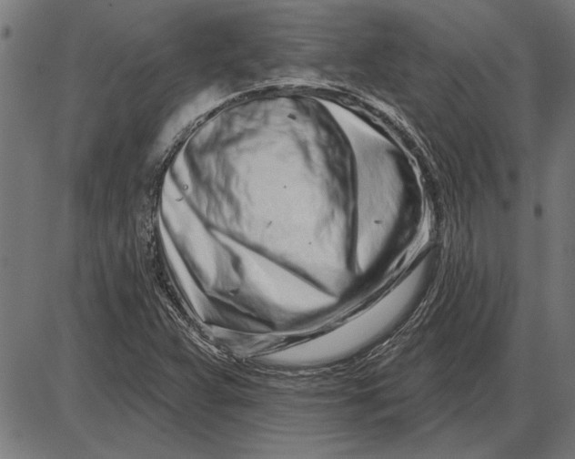 X0000086101359200704091341