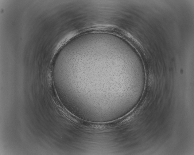 X0000086101362200704091341