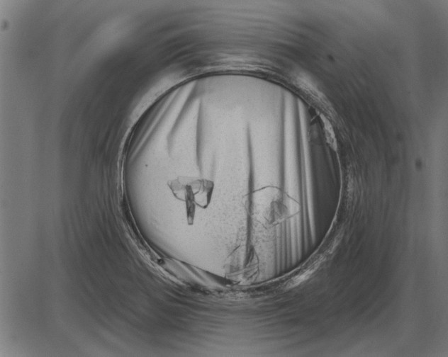 X0000086101370200704091341