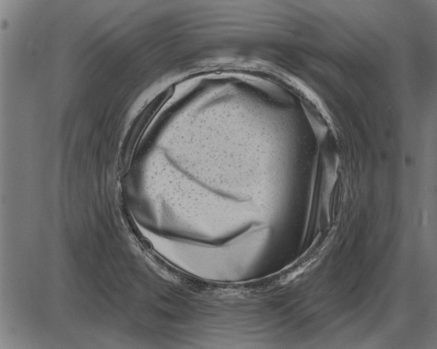 X0000086101373200704091341
