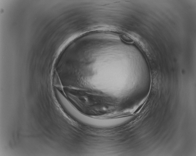X0000086101375200704091341