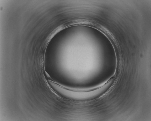 X0000086101377200704091341