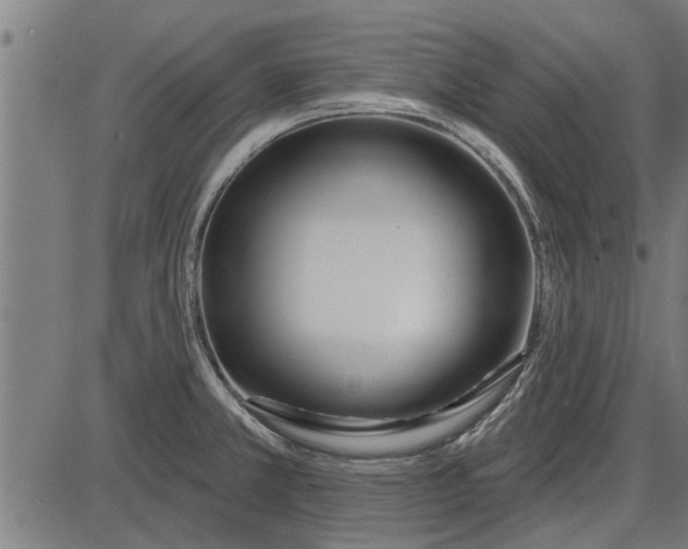 X0000086101381200704091341