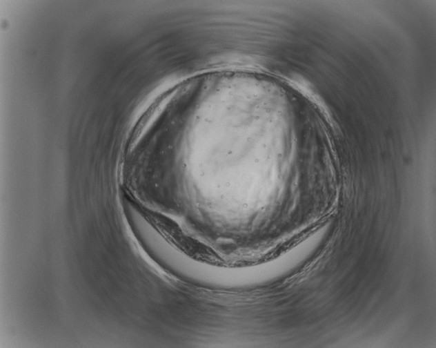 X0000086101383200704091341