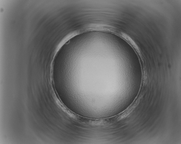 X0000086101386200704091341