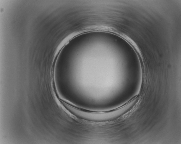 X0000086101389200704091341