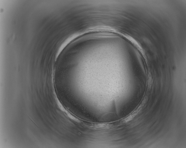 X0000086101390200704091341