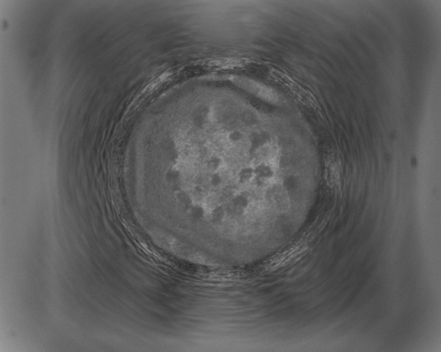 X0000086101393200704091340