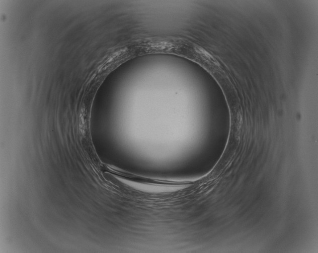 X0000086101394200704091340