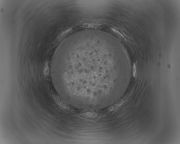 X0000086101395200704091340