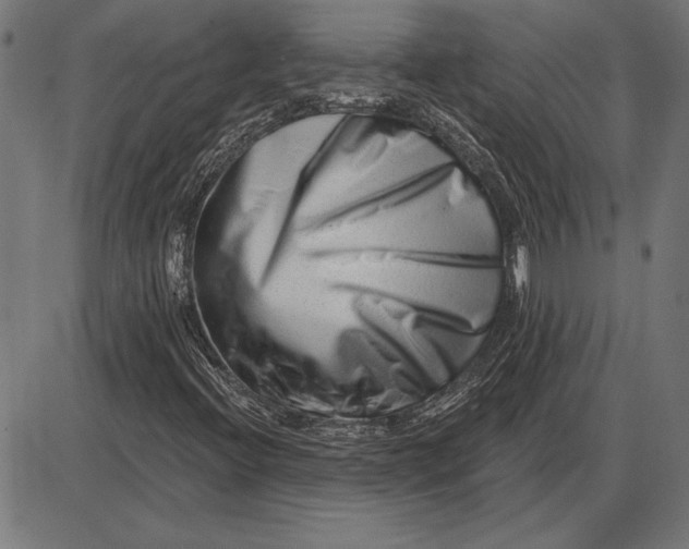 X0000086101396200704091340